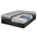 مراتب سيلي- طبقات مرتبةكارتن-كال