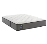 مراتب سيلي -مرتبة-ديانا